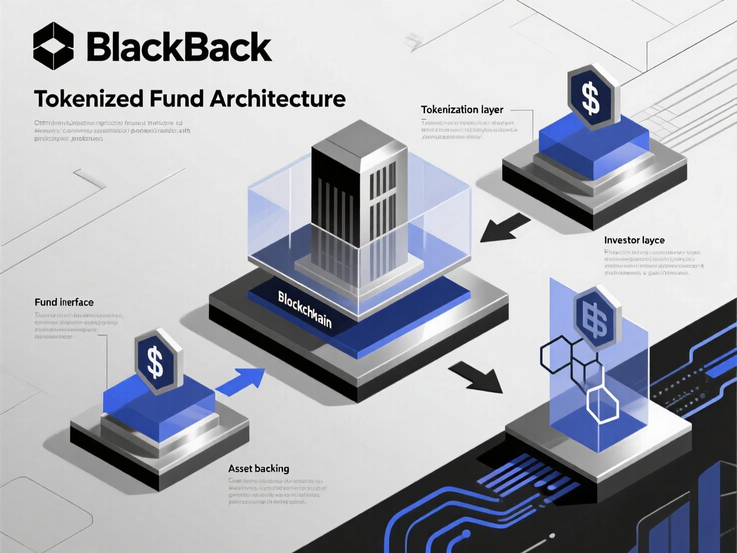 Simplified diagram of BUIDL’s issuer-custodian-transfer-agent stack in Real-World Asset Tokenization.